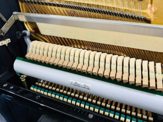 Kawai BL71